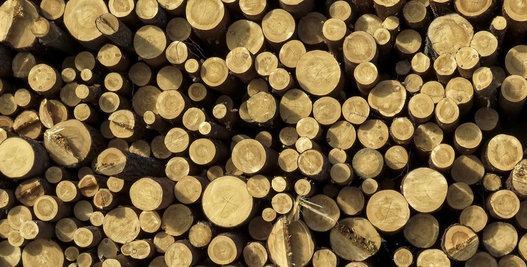 Правительство ужесточает ответственность за незаконный экспорт лесоматериалов